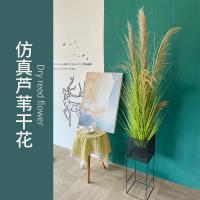 uploads/erp/collection/images/Home Garden/CongDing/XU0611695/img_b/XU0611695_img_b_2